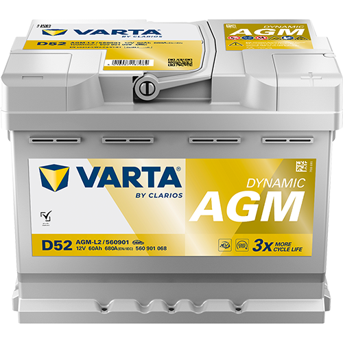 DYNAMIC AGM 560901068