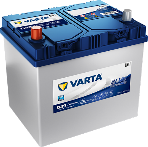 BLUE dynamic 560600054